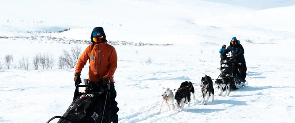 Tom Jacques-Milner, our buyer, leads a dog sledding team across a snowy landscape, clad in a vibrant orange Fjällräven jacket.