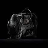 Fjallraven Kanken Mini No. 2 Kanken Black - My Fox Bag